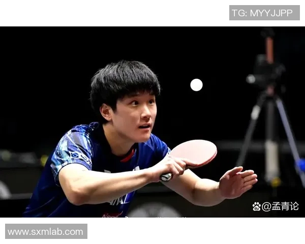 乒乓球技术实力榜单权威发布引发热议各国选手表现一览