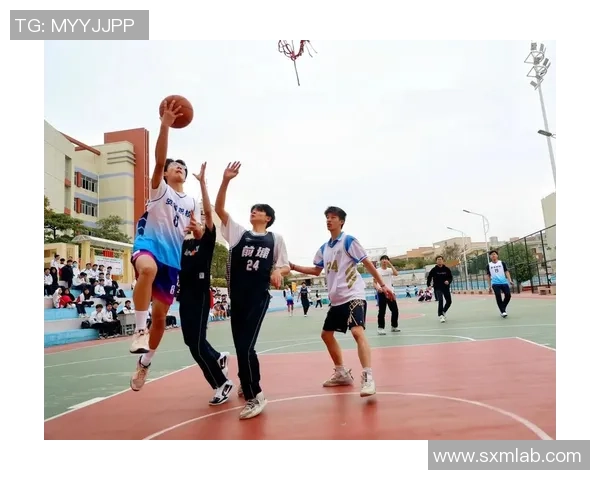 深度对话：张强分享他的篮球梦想与奋斗历程